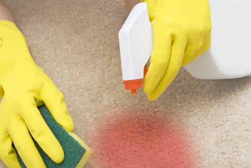 Regular cleaning service for a Pimlico period apartment
