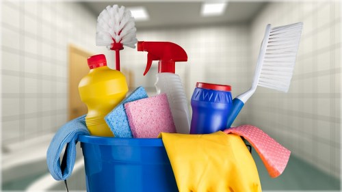 Domestic cleaner working in a Pimlico period flat