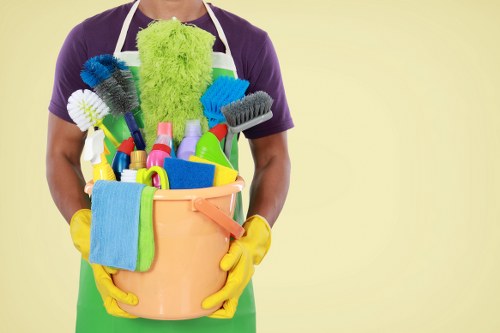 Professional sofa cleaning service for a Pimlico living room