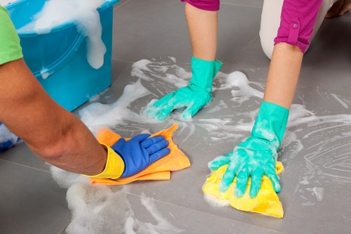 Professional rug cleaning service for Pimlico homes