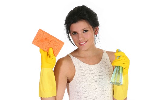 Technician treating a carpet stain in a Pimlico home