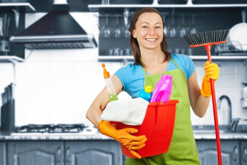 Kitchen and bathroom cleaning in a Pimlico home