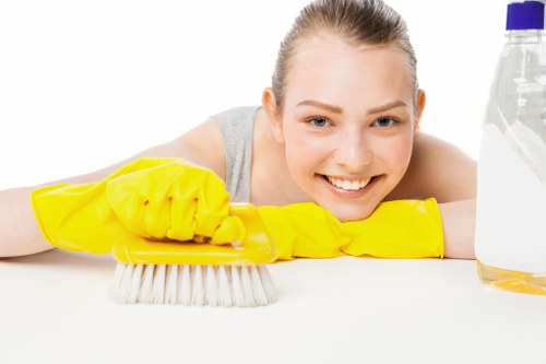 Local domestic cleaning service for Pimlico residents