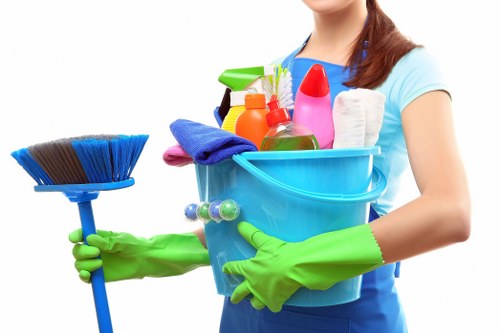 Local deep cleaning work in Pimlico with attention to detail