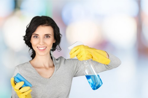Recurring cleaning support for a Pimlico office or small business