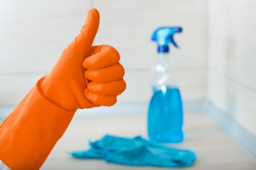 Mattress cleaning service for a Pimlico bedroom in a London flat