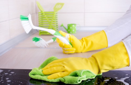 Dust removal and surface cleaning in a Pimlico flat after refurbishment