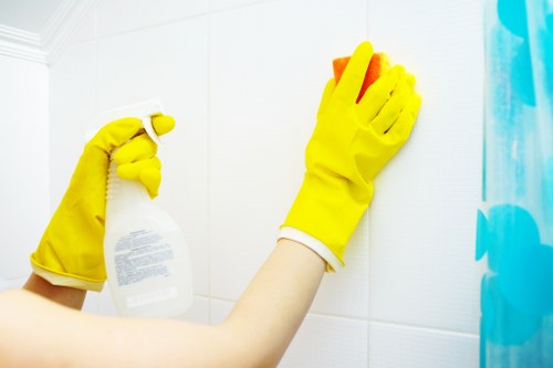 Routine gutter maintenance for properties in Pimlico