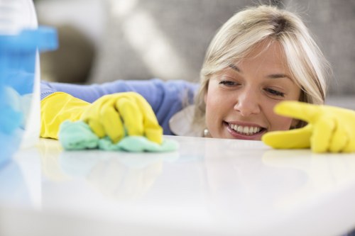 Local cleaning team working in a Pimlico period property