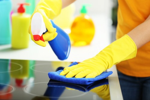 Local house cleaning service in a Pimlico townhouse interior