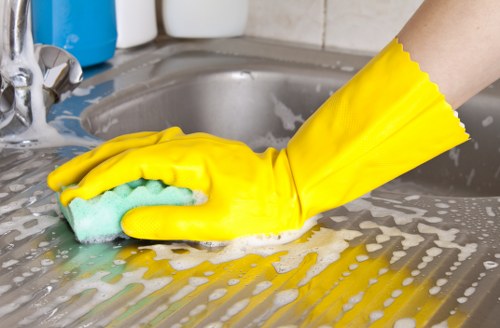 Professional gutter clearance on a Pimlico townhouse