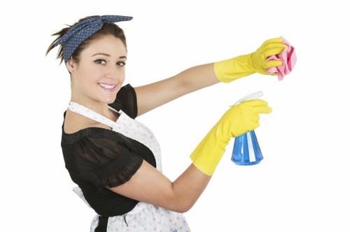 Deep carpet cleaning process improving carpet appearance in Pimlico