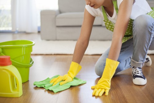 Careful cleaning of a delicate rug in a Pimlico property