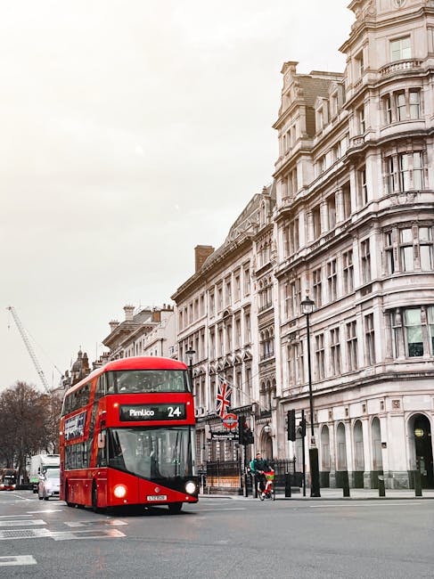 An outdoor urban scene featuring a red double-decker bus on a street in Pimlico, London, with historic white stone buildings lining the road. The bus displays the route number 24 and the destination 'Pimlico' on its front panel. The street is partially visible with pedestrians and cyclists, as well as street lamps and traffic signals, under an overcast sky. This image relates to the Pimlico area, where Carpet Cleaners Pimlico provides professional cleaning services for residential and commercial premises, ensuring high standards of hygiene and surface cleanliness for properties including carpets and other surfaces.